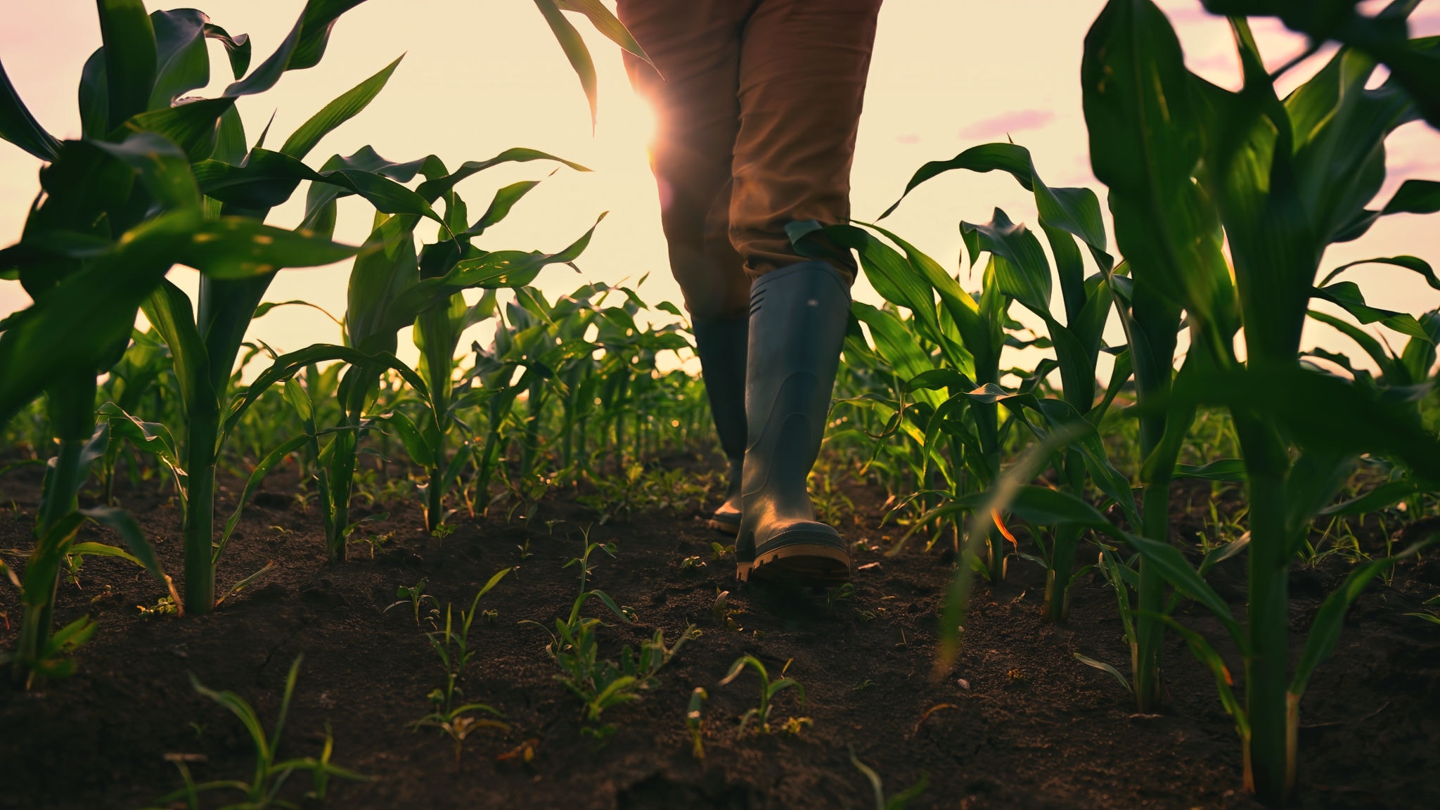 Agriculture safety professionals in the field
